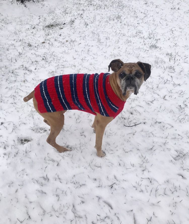 Snow day